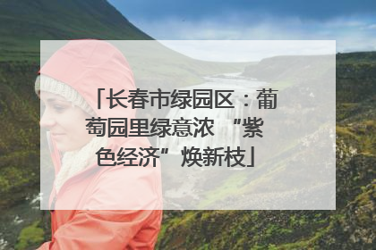 长春市绿园区：葡萄园里绿意浓 “紫色经济”焕新枝