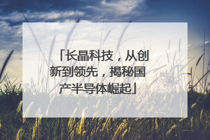 长晶科技，从创新到领先，揭秘国产半导体崛起