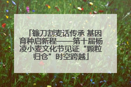 镰刀割麦话传承 基因育种启新程——第十届杨凌小麦文化节见证“颗粒归仓”时空跨越