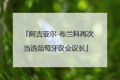 阿吉亚尔-布兰科再次当选葡萄牙议会议长