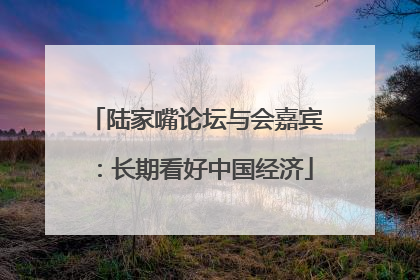 陆家嘴论坛与会嘉宾：长期看好中国经济