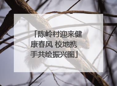 陈岭村迎来健康春风 校地携手共绘振兴图