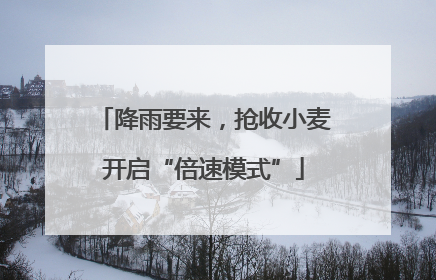 降雨要来，抢收小麦开启“倍速模式”