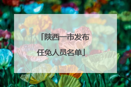 陕西一市发布任免人员名单