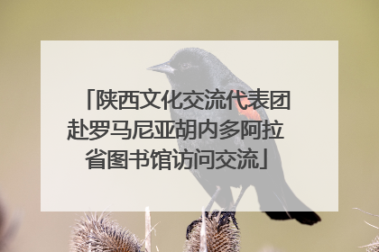 陕西文化交流代表团赴罗马尼亚胡内多阿拉省图书馆访问交流