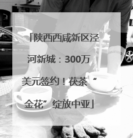 陕西西咸新区泾河新城：300万美元签约！茯茶“金花”绽放中亚