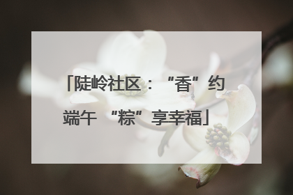 陡岭社区：“香”约端午 “粽”享幸福