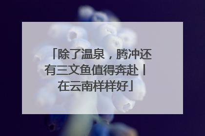 除了温泉，腾冲还有三文鱼值得奔赴丨在云南样样好