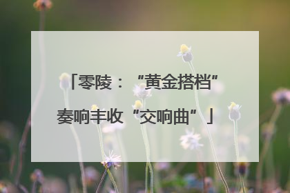 零陵：“黄金搭档”奏响丰收“交响曲”