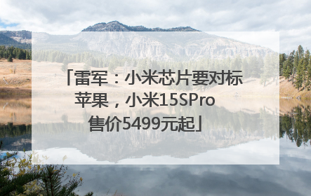 雷军：小米芯片要对标苹果，小米15SPro售价5499元起