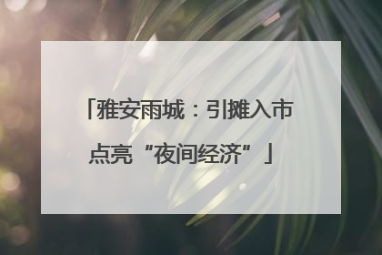 雅安雨城：引摊入市 点亮“夜间经济”