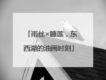 雨丝×睡莲，东西湖的油画时刻