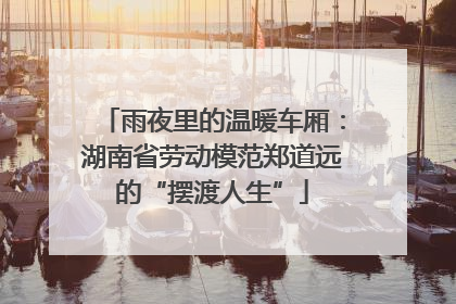 雨夜里的温暖车厢：湖南省劳动模范郑道远的“摆渡人生”