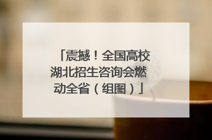 震撼！全国高校湖北招生咨询会燃动全省（组图）