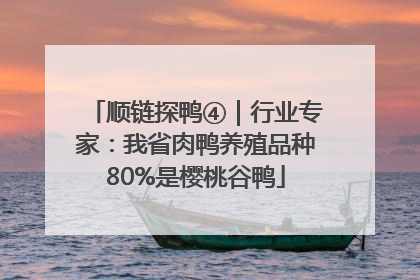 顺链探鸭④｜行业专家：我省肉鸭养殖品种80%是樱桃谷鸭