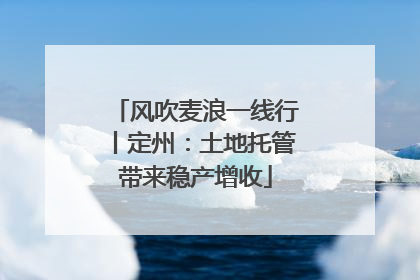 风吹麦浪一线行丨定州：土地托管带来稳产增收