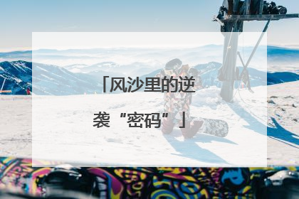 风沙里的逆袭“密码”