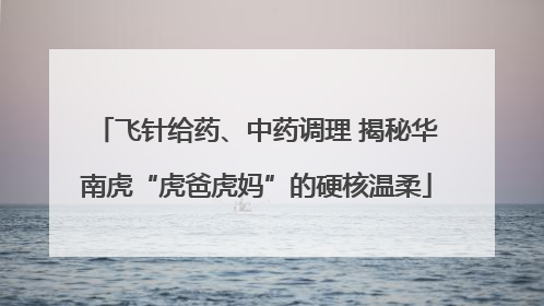 飞针给药、中药调理 揭秘华南虎“虎爸虎妈”的硬核温柔