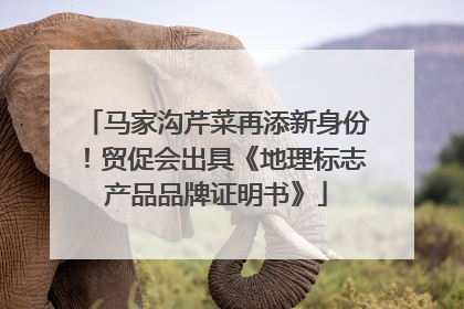 马家沟芹菜再添新身份！贸促会出具《地理标志产品品牌证明书》