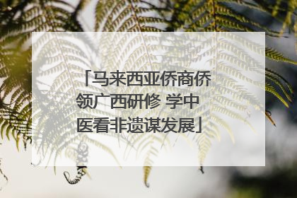 马来西亚侨商侨领广西研修 学中医看非遗谋发展