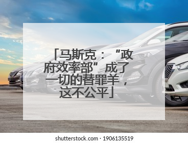 马斯克：“政府效率部”成了一切的替罪羊，这不公平