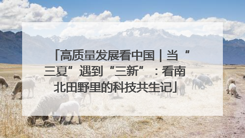高质量发展看中国｜当“三夏”遇到“三新”：看南北田野里的科技共生记