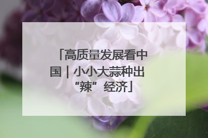 高质量发展看中国｜小小大蒜种出“辣”经济