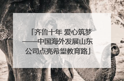 齐鲁十年 爱心筑梦——中国海外发展山东公司点亮希望教育路