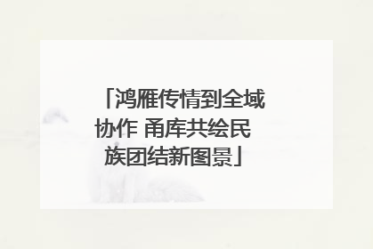 鸿雁传情到全域协作 甬库共绘民族团结新图景