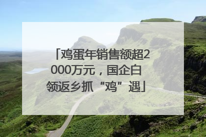鸡蛋年销售额超2000万元，国企白领返乡抓“鸡”遇