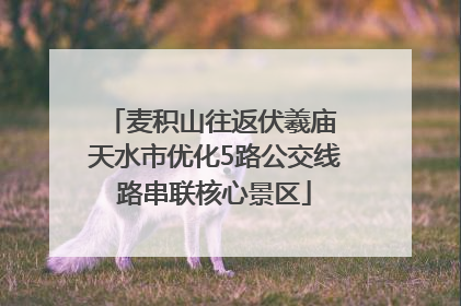 麦积山往返伏羲庙 天水市优化5路公交线路串联核心景区