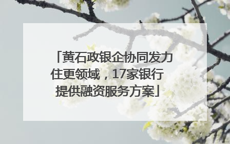 黄石政银企协同发力住更领域，17家银行提供融资服务方案