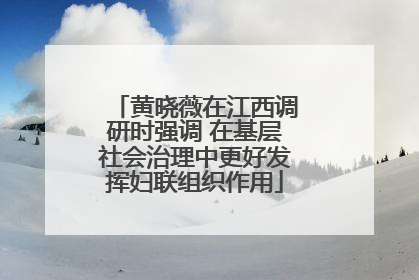 黄晓薇在江西调研时强调 在基层社会治理中更好发挥妇联组织作用