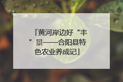 黄河岸边好“丰”景——合阳县特色农业养成记