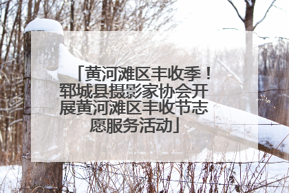 黄河滩区丰收季！郓城县摄影家协会开展黄河滩区丰收节志愿服务活动