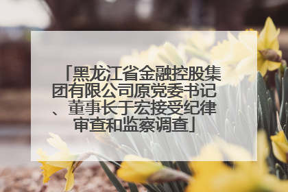 黑龙江省金融控股集团有限公司原党委书记、董事长于宏接受纪律审查和监察调查