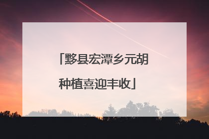 黟县宏潭乡元胡种植喜迎丰收