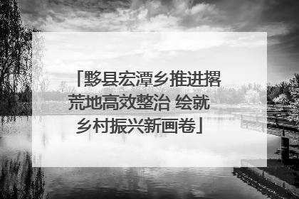 黟县宏潭乡推进撂荒地高效整治 绘就乡村振兴新画卷