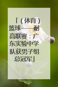 （体育）篮球——耐高联赛：广东实验中学队获男子组总冠军