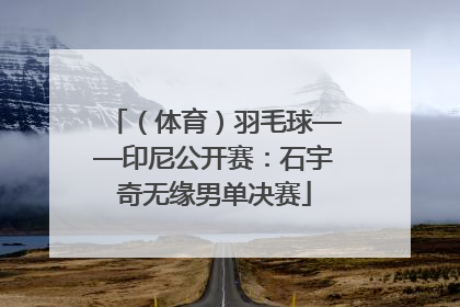 （体育）羽毛球——印尼公开赛：石宇奇无缘男单决赛