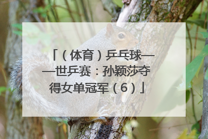 （体育）乒乓球——世乒赛：孙颖莎夺得女单冠军（6）