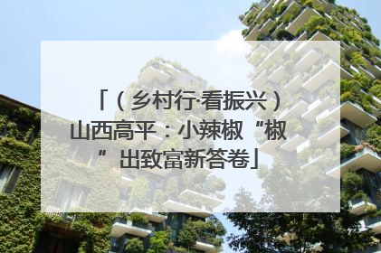 （乡村行·看振兴）山西高平：小辣椒“椒”出致富新答卷