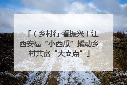 （乡村行·看振兴）江西安福“小西瓜”撬动乡村共富“大支点”