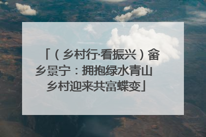 （乡村行·看振兴）畲乡景宁：拥抱绿水青山 乡村迎来共富蝶变
