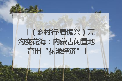 （乡村行·看振兴）荒沟变花海：内蒙古闲置地育出“花漾经济”