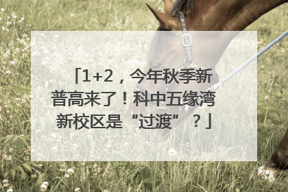 1+2，今年秋季新普高来了！科中五缘湾新校区是“过渡”？