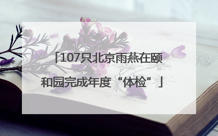 107只北京雨燕在颐和园完成年度“体检”
