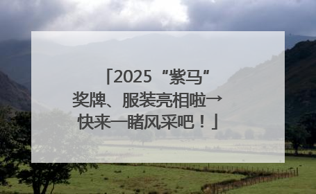 2025“紫马”奖牌、服装亮相啦→快来一睹风采吧！