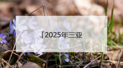 2025年三亚经济圈热带雨林挑战赛陵水站开赛，千名选手畅享滨海雨林风情