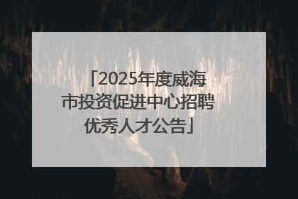 2025年度威海市投资促进中心招聘优秀人才公告